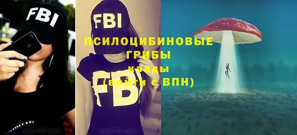стаф Алзамай