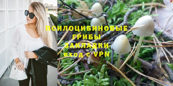 стаф Алзамай