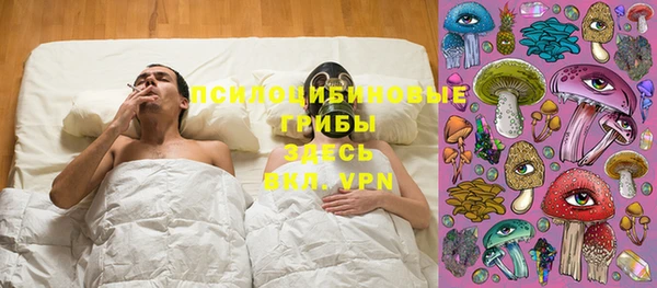 спиды Алексеевка