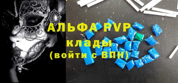 стаф Алзамай