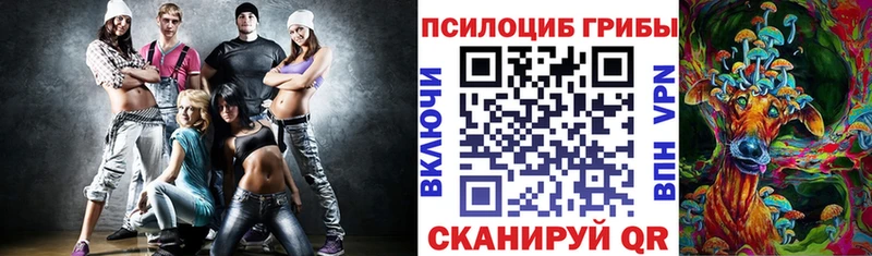 как найти закладки  Берёзовка  Псилоцибиновые грибы мухоморы 